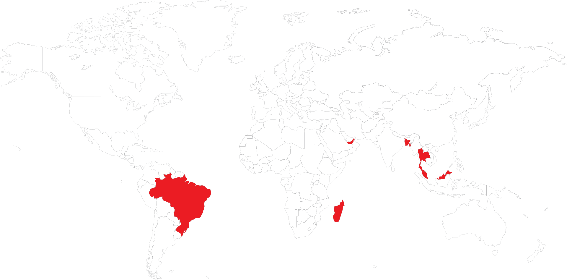 World Map
